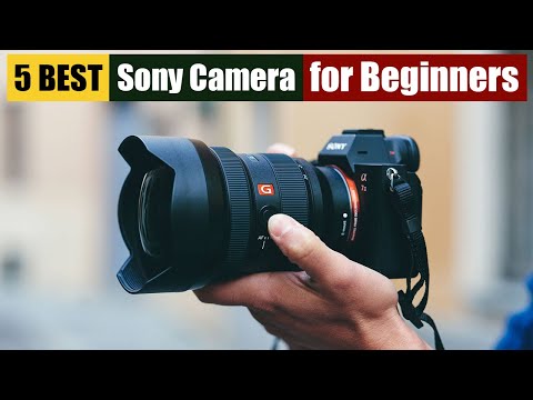 5 Best Sony Cameras for Beginners in 2024 - Start Your Photography Journey!