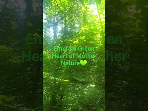 💚💚💚💚💚💚💚💚Emerald green Heart of Mother Nature 💚💚💚💚💚💚💚💚💚 #soothing #SoothingNature #deepforest #trees