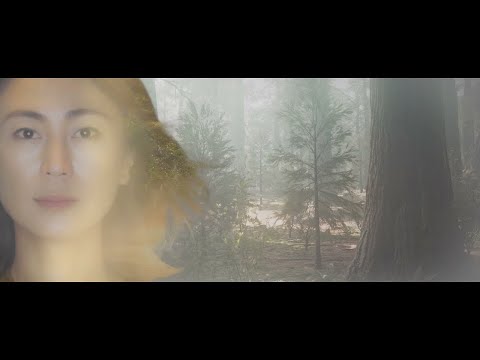 氷川きよし / 森を抜けて【公式】