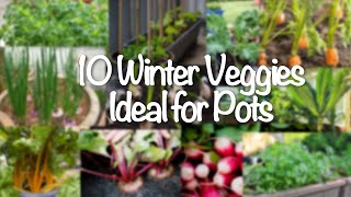 Top 10 Winter veggies for pots and balcony ll Best vegetable plant for winter