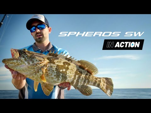 Shimano Spheros SW – Bats Brothers turn bait into big fish!