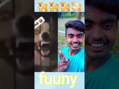 पापा कि परियु डlस fuuny vlog  abhijit kumat raj  ###$😇😜😜😋