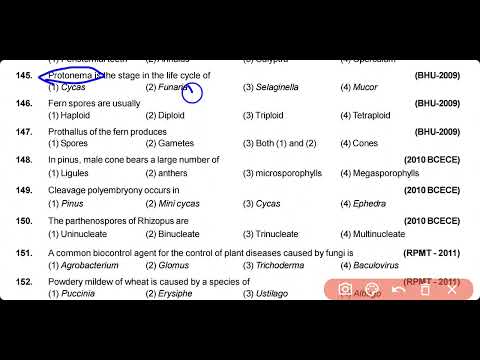 Plant Kingdom MCQ for NEET Biology | Class 11 | Last minute Revision || NEET 2023