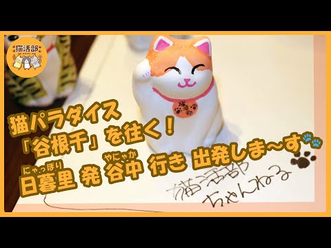 猫活部ちゃんねる＃002 谷中 で招き猫 絵付け体験