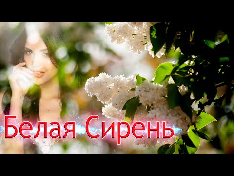 Песня просто Хит! Покорившая Интернет! Белая сирень!