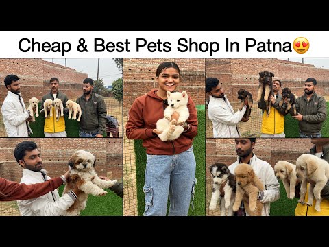 Patna में Guru Dog World से सस्ता और Best Quality Dog अपको कहीं नहीं मिलेगा | Best Pet Shop in Patna