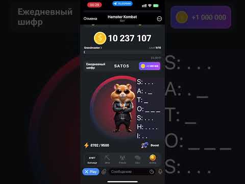 Секретный Шифр Hamster Kombat на 13 июня 24г