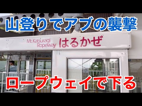 【ゆる登山】葛城山 山登りでアブの襲撃を受ける 帰りはロープウェイで下る 登山 低山 ツツジ 葛城高原