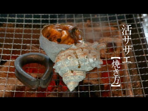 活サザエの焼き方【飯テロ】