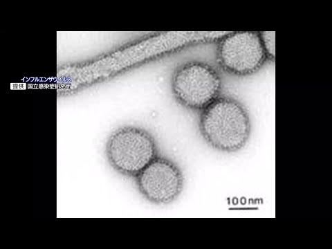 都内のインフルエンザ「注意報」の基準超　感染対策を呼びかけ