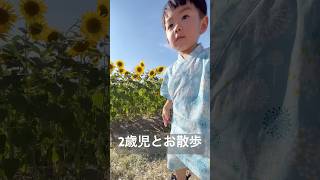 甚平でひまわり畑を楽しむ！2歳児の夏の思い出 #2歳児 #ひまわり畑 #甚平でお出かけ