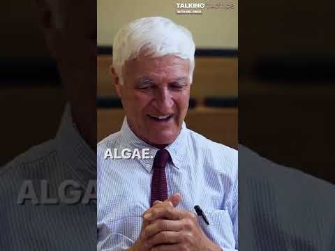 Bob Katter: Every Secondary School Boy Should Have a High-Powered Semi-Automatic Rifle #shorts