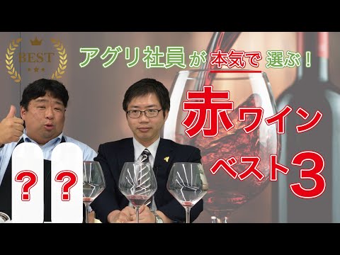 【必見】ワイン輸入業者社員が「本気で」選んだ赤ワイン、ベスト３　2022年版　｜アグリワインチャンネル