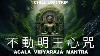 不動明王心咒🌈不可思議靈性能量🌟淨化磁場🌟Acala Vidyaraja Mantra 1 Hour🧘‍♂️Chill Lofi Music