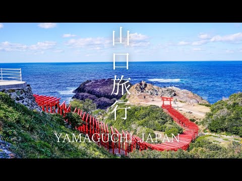 【山口観光】青い海に感動！1泊2日で山口県の人気観光スポットを巡る、おすすめ旅行モデルコースを紹介！｜角島大橋｜元乃隅神社｜秋芳洞