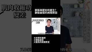 靜脈高壓如何產生？靜脈曲張的病理原因｜許原彰醫師：高雄，台南，屏東，台中靜脈曲張專科 #健康 #靜脈曲張 #保健 #醫療 #醫學