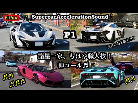 マクラーレンP1などレア車を含めた200台のスーパーカー加速サウンド&もはや空吹かしとは呼ぶまい、職人神コールしながら爆音加速する諸星一家！