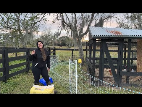 Mother of Twins FULL DAY AT THE FARM