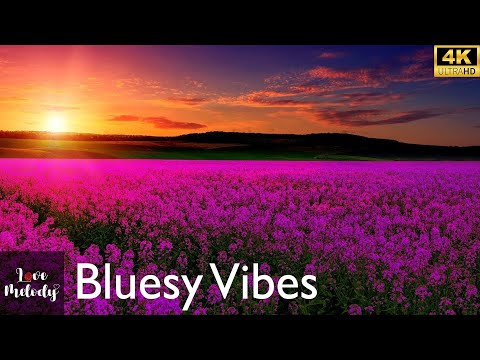 Bluesy Vibes (Audio)