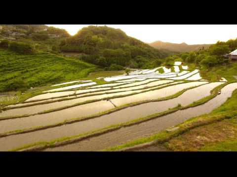 2017/6/17 夕陽が輝く上山千枚田 4K ドローン Phantom4