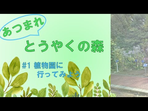 あつまれとうやくの森 #1