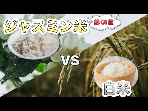 【低GI値】ジャスミン米の血糖値抑制効果を検証【同じ食事で比較】