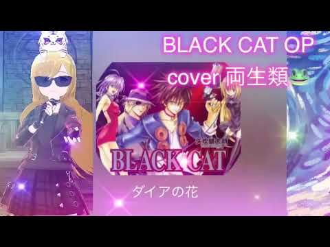 ダイヤの花 cover 両生類🐸 BLACKCAT OP 懐かしのアニソン 2000年代 平成アニソン