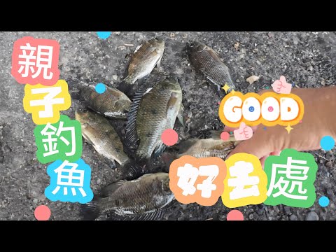 【趕海】親子釣魚好去處 涼爽安全不用傘  #趕海豪日子 #枕頭麻手作設計坊 #小3很有4 #釣魚 #黑公 #fishing #趕海