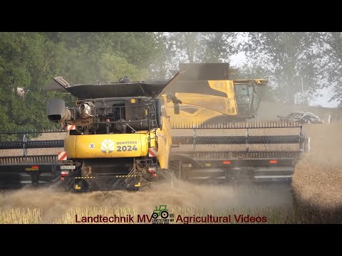 New Holland - Claas - Fendt - John Deere / Rapsernte - Rapeseed Harvest  2024