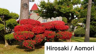 Hirosaki in Aomori - Maybe the Most Beautiful Place in Japan? | Knife Art Travel Vlog 10, 2023