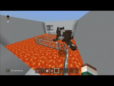 MINECRAFT ANIMAL BALANCE TEST