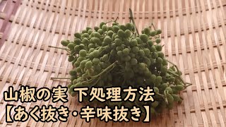 山椒の実 下処理方法【あく抜き・辛味抜き】How to prepare Sansho nuts 【Removing the bitterness and pungency】