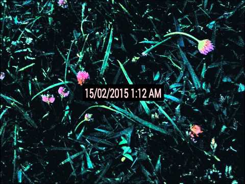 Genesis Owusu - The Day After Valentine's (prod. JustBeats TV)