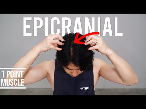 This Massage is so EFFECTIVE｜Epicranial Fascia Release