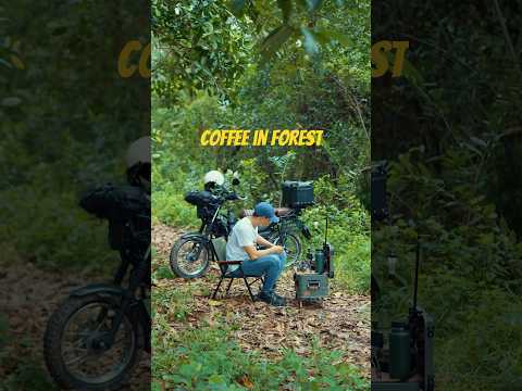 Coffee camping Relaxing #chill #coffee #forest #camping #cafevlog #campingcoffee