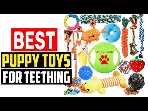 ✅ Top 5 Best Puppy Toys For Teething Reviews of 2023