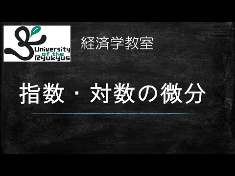 指数関数・対数関数の微分 (No.6)