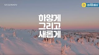 비디오에세이 - 하얗게 그리고 새롭게