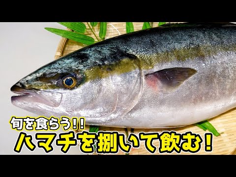 🔴 華金LIVE　ハマチを捌いて飲む！！