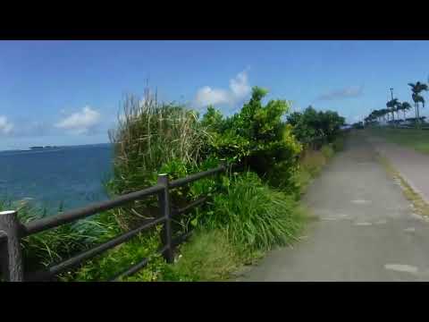 那覇　豊崎から瀬長島までの公園をサイクリング