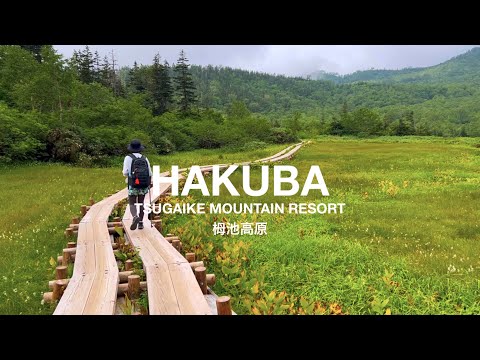 [Hakuba] Tsugaike Trekking