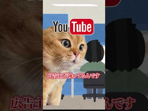 僕を助けてください。#猫ミーム #猫マニ