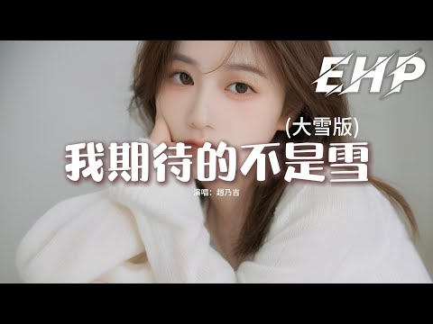 趙乃吉 - 我期待的不是雪(大雪版)『我期待的不是雪而是有你的冬天，我期待的不是風而是歸根的落葉，我期待染白了頭 我和你相擁走很遠很遠。』【動態歌詞MV】