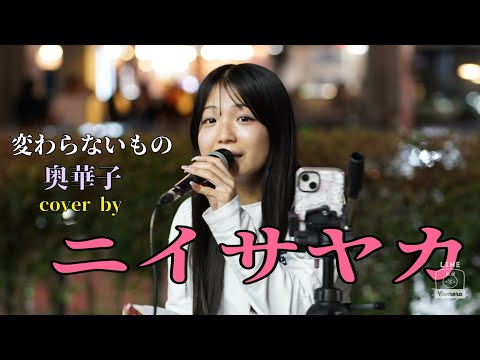 【路上ライブ】変わらないもの/奥華子　cover by ニイサヤカ