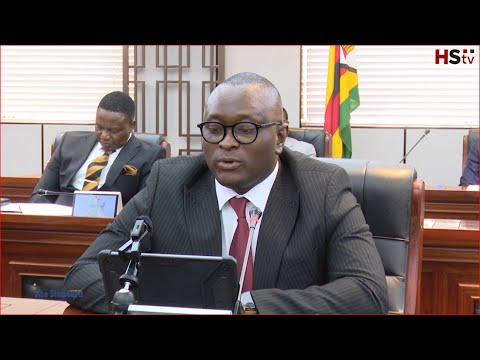 Zim, pushes to mend relations with Zambia after ED's Russia boob #hstvzim #cabinet