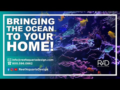 BRINGING THE OCEAN TO YOUR HOME