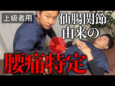 【上級者向け】仙腸関節が原因の腰痛治療