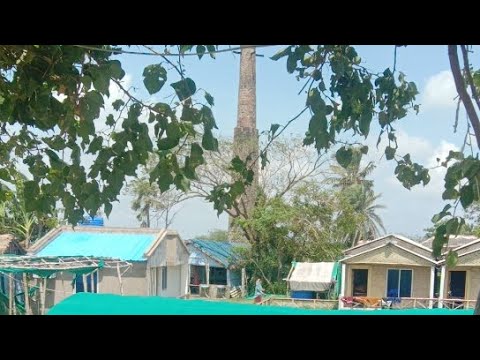 Mousuni island Tour Live | মৌসুমী দ্বীপ 🏝️ ঘুরতে যাওয়া