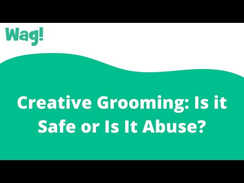 Creative Grooming: Is it Safe or Is It Abuse? | Wag!