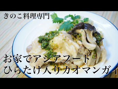 【きのこ料理 ご飯もの】お家でアジアフードひらたけ入りカオマンガイ　きのこマイスターのレシピ